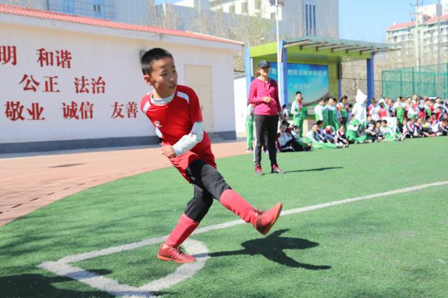 小杨哥现身直播间，宣布重启内容创作与经营